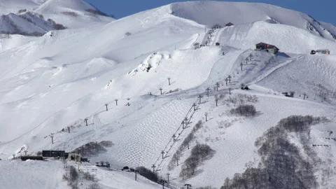 Snow falling at the trees in slow motion is beautiful winter season views Stock Footage 148386334