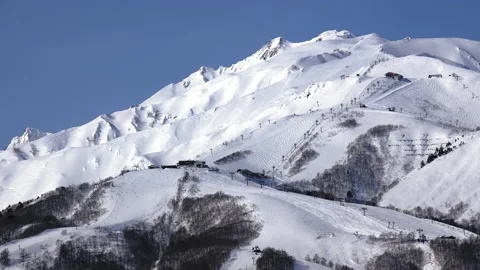 Snow falling at the trees in slow motion is beautiful winter season views Stock-Footage 148387993