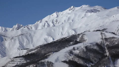 Snow falling at the trees in slow motion is beautiful winter season views Stock Footage 148388077