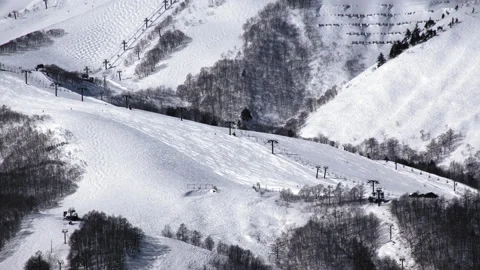 Snow falling at the trees in slow motion is beautiful winter season views Stock Footage 148389262