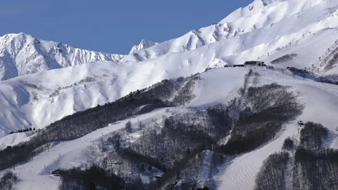 Snow falling at the trees in slow motion is beautiful winter season views Stock Footage 148389324