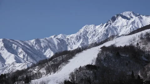 Snow falling at the trees in slow motion is beautiful winter season views Stock Footage 148391018
