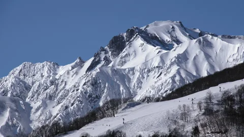 Snow falling at the trees in slow motion is beautiful winter season views Stock Footage 148391333