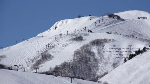 Snow falling at the trees in slow motion is beautiful winter season views Stock Footage 148391560