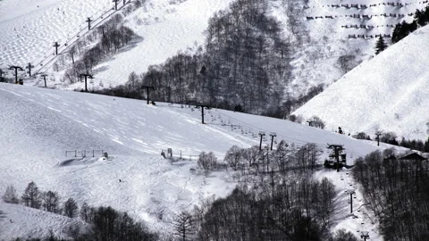 Snow falling at the trees in slow motion is beautiful winter season views Stock Footage 148391662