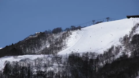 Snow falling at the trees in slow motion is beautiful winter season views Stock Footage 148391869
