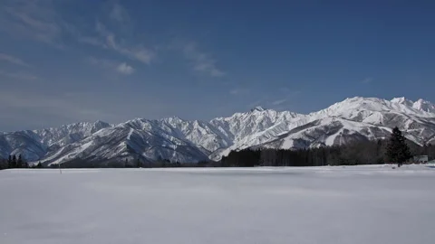 Snow falling at the trees in slow motion is beautiful winter season views Video stock 148422442