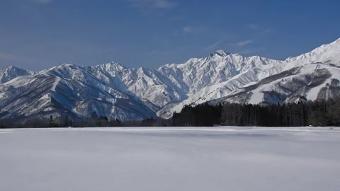 Snow falling at the trees in slow motion is beautiful winter season views Video stock 148422670