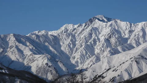 Snow falling at the trees in slow motion is beautiful winter season views Stock Footage 148422847