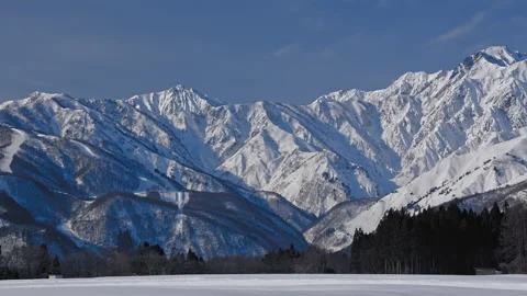 Snow falling at the trees in slow motion is beautiful winter season views Stock Footage 148426635