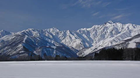 Snow falling at the trees in slow motion is beautiful winter season views Stock Footage 148429324