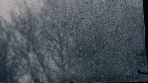 Snow falling trees on winter day view through window 스톡 동영상 264526315