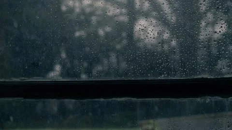 Snow falling trees on winter day view through window door Video stock 266786355