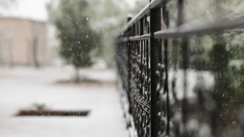 The snow is falling on the trellis Stock Footage 244698193