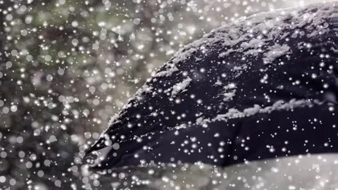 Snow falling on an umbrella Stock Footage 220302215