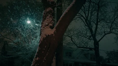 Snow falling under blue streetlight near tree on a residential street. Stock Footage 101244461