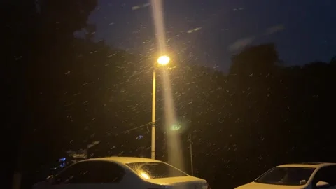 Snow Falling Under Bright Streetlight at Night Over Parked Cars Stock Footage 342014795