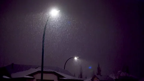 Snow falling under street lights Video stock 273353561