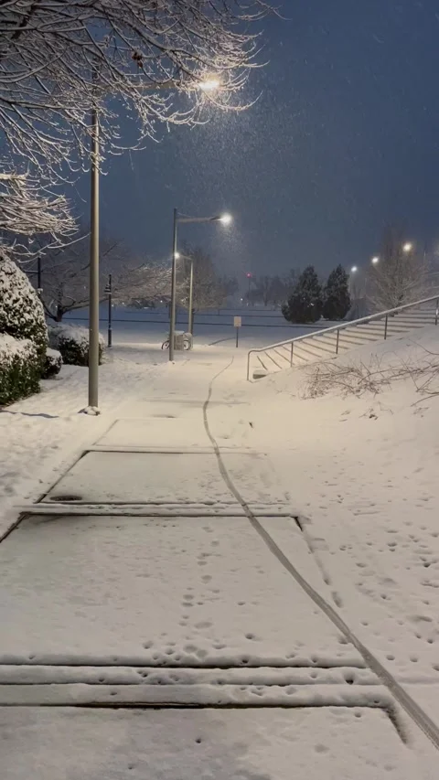 Snow Falling in Urban Setting Stock Footage 311892507