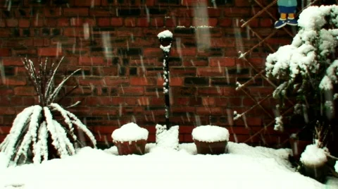 Snow falling in an urban yard 1 Stock Footage 596293