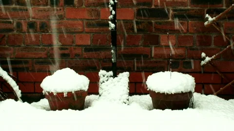 Snow falling in an urban yard 2 Stock Footage 596301