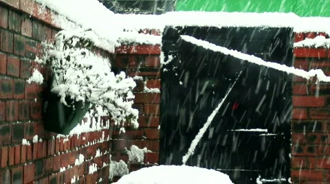 Snow falling in an urban yard 3 Video stock 596308