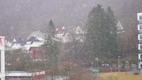 Snow falling videos captured in slow-motion . 库存影片 233433716