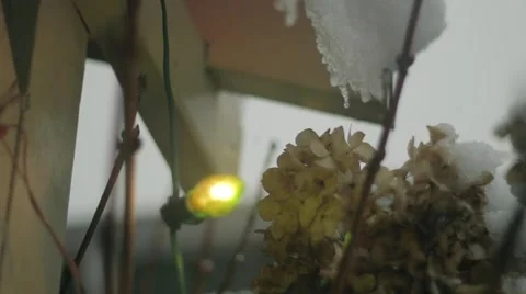 Snow falling as water drips off the eaves past a Christmas light Stock Footage 59111242