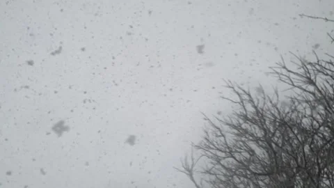 Snow falling while cloudy weather Stock Footage 259697799