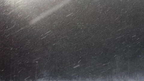 Snow falling while the sun is shining (with sound) Stock Footage 331133837