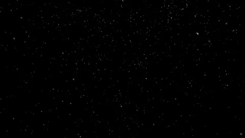 Snow Falling - Wide Shot - Seamless Loop Stock Footage 120874240