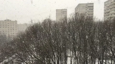 Snow Falling Window View Stock Footage 62627304