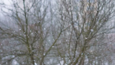 Snow falling in winter in 4k slow motion 60fps Stock Footage 148999591