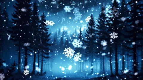 Snow Falling In Winter forest at night. Fairy panorama with silhouettes of Trees Stock Footage 256506054