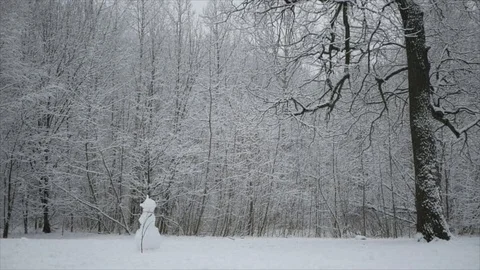 Snow is falling in the winter forest. Snowman stands in a forest glade. Stock Footage 123043906