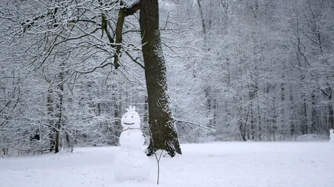 Snow is falling in the winter forest. Snowman stands in a forest glade. 動画素材 123043961