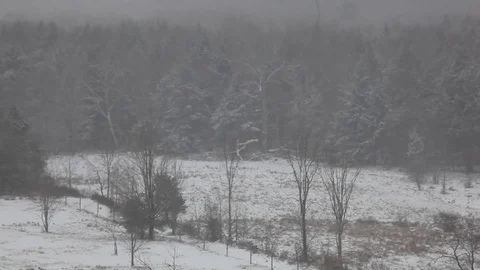 Snow Falling Winter Landscape Stock Footage 71151171