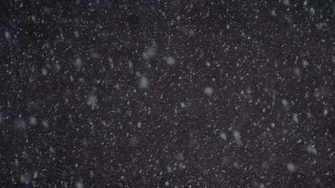 Snow falling in the winter night Video stock 72759332
