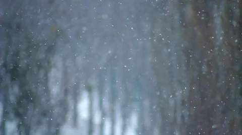 Snow Falling in Winter Park HD Stock Footage