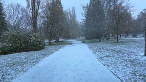 Snow falling in a winter park with pathway and trees Stock Footage 330955425