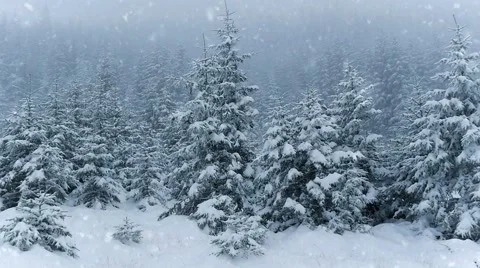 Snow falling in a winter park. Slow motion Video stock 58554611