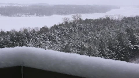 Snow Falling Winter Scene Real Time Motion Pine Trees Covered in Snow Stock-Footage 145875567