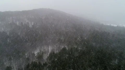 Snow falling in winter onto snow covered trees - Vermont - (Aerial) 4K Stock Footage