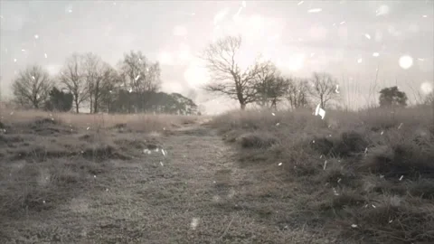 Snow Falling on Winter Tree Leaves - Nature Macro Video Stock Footage 330279023