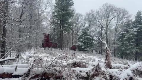 Snow Falling in Wooded Landscape with Rustic Shed | Winter Forest Stock Footage 322199128