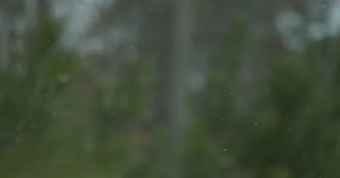 Snow Falling in Woods - 1000fps Stock Footage 61170783