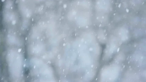 Snow falling, with woods in background Stock Footage 238470083