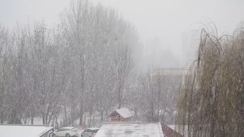 Snow falling in the yard Stock Footage 84144406