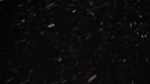 Snow Falling_1 Stock Footage