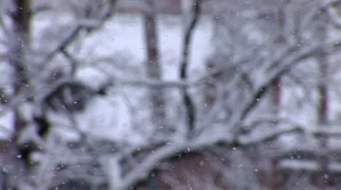 Snow falls 1 Stock Footage 10699372